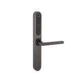 Stealth Smart Lock Long plates