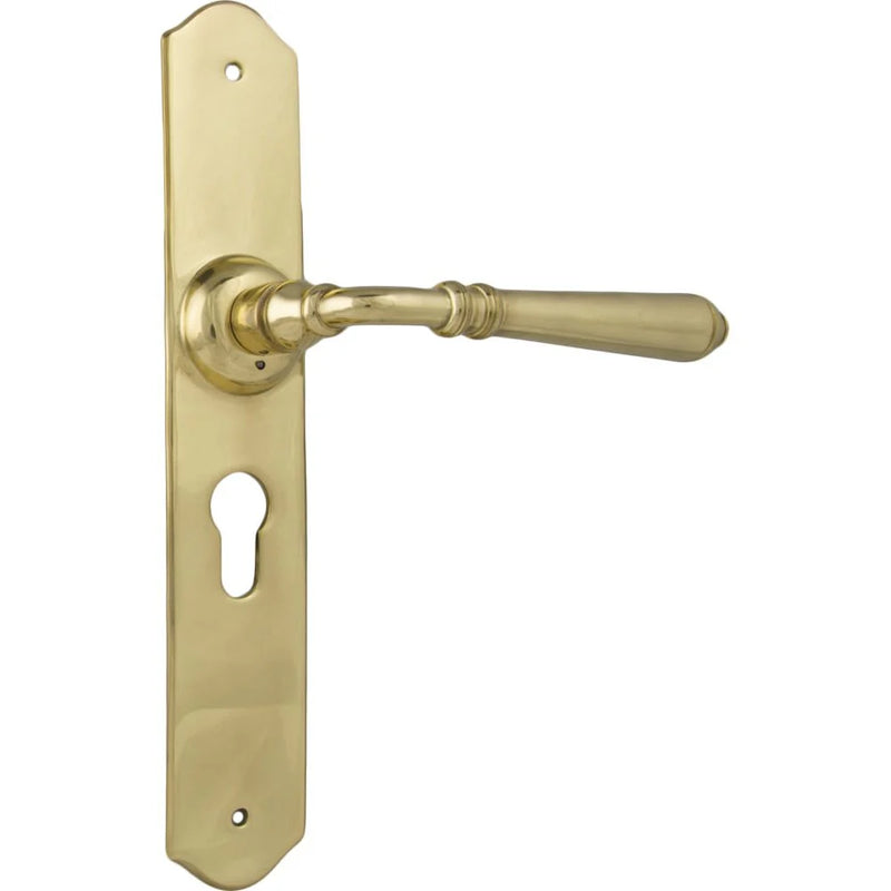 Tradco Reims Lever Door Handle