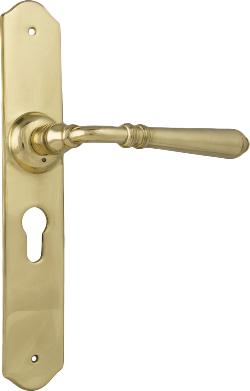 Tradco Reims Lever Door Handle