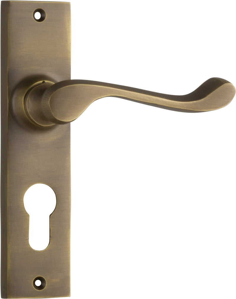 TRADCO FREMANTLE DOOR LEVER HANDLE ON RECTANGULAR BACKPLATE