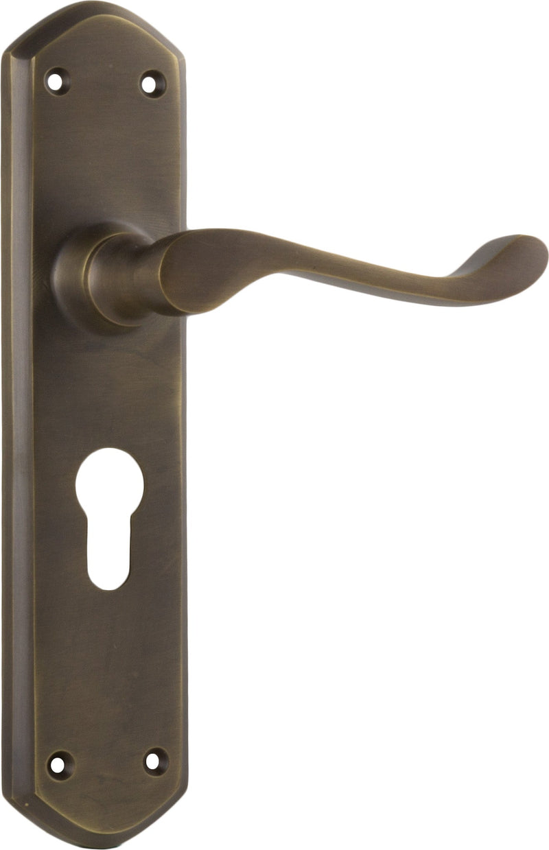 TRADCO WINDSOR LEVER DOOR HANDLE ON SHOULDERED BACKPLATE