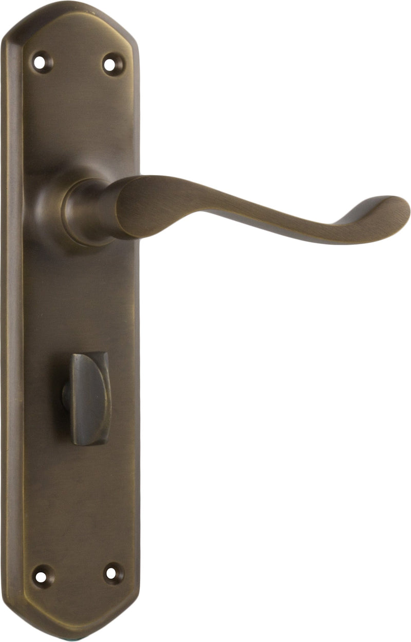 TRADCO WINDSOR LEVER DOOR HANDLE ON SHOULDERED BACKPLATE