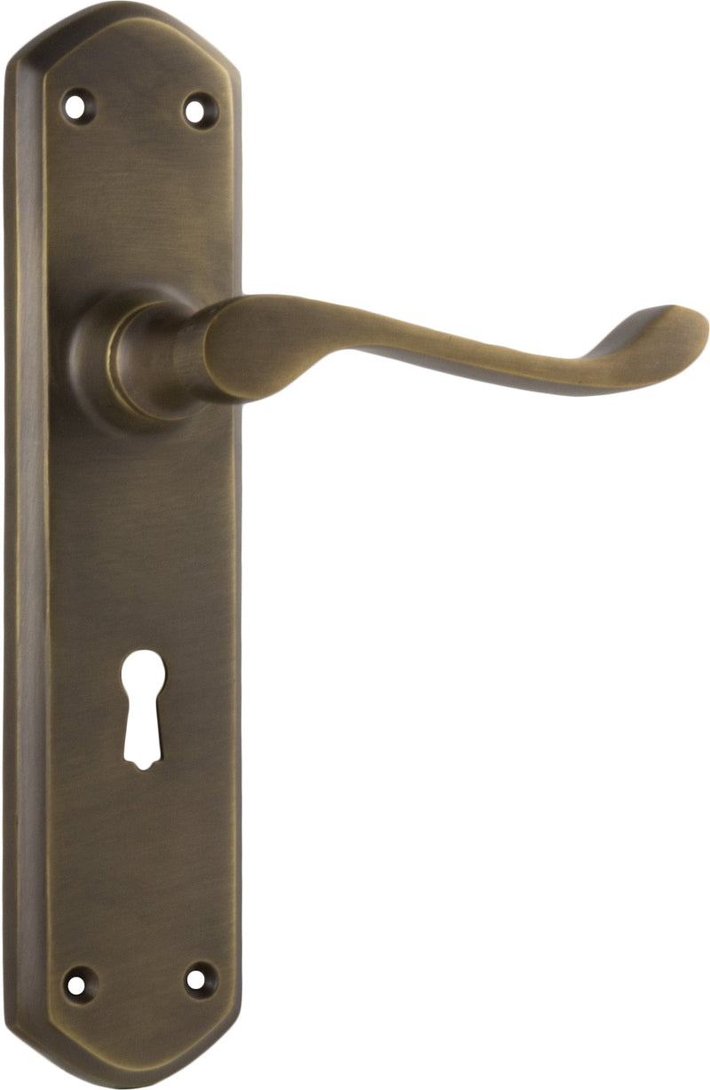 TRADCO WINDSOR LEVER DOOR HANDLE ON SHOULDERED BACKPLATE