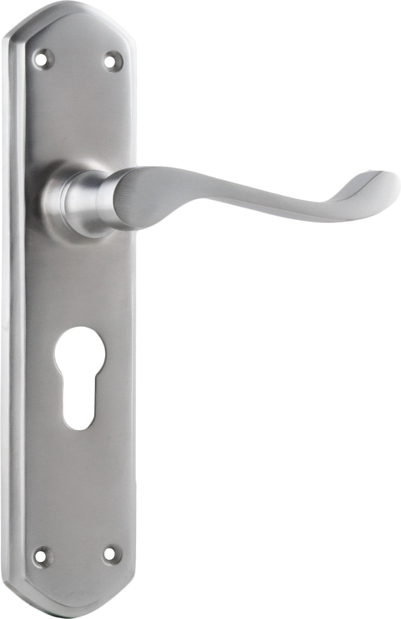 TRADCO WINDSOR LEVER DOOR HANDLE ON SHOULDERED BACKPLATE