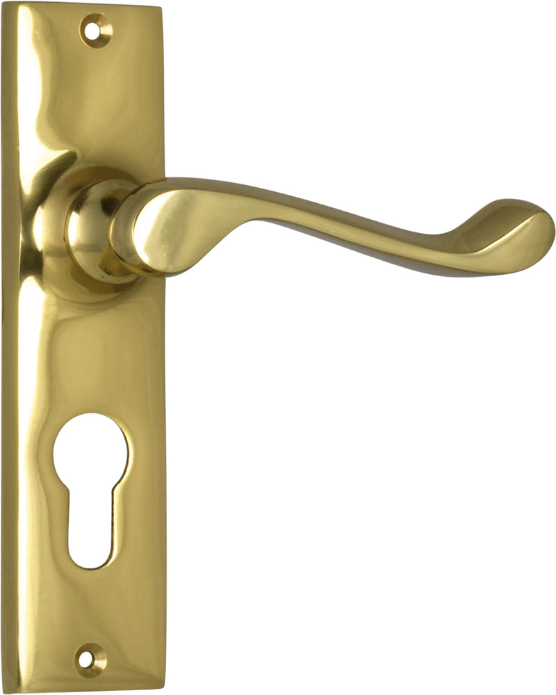 TRADCO FREMANTLE DOOR LEVER HANDLE ON RECTANGULAR BACKPLATE