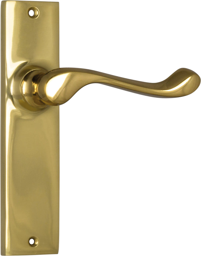 TRADCO FREMANTLE DOOR LEVER HANDLE ON RECTANGULAR BACKPLATE