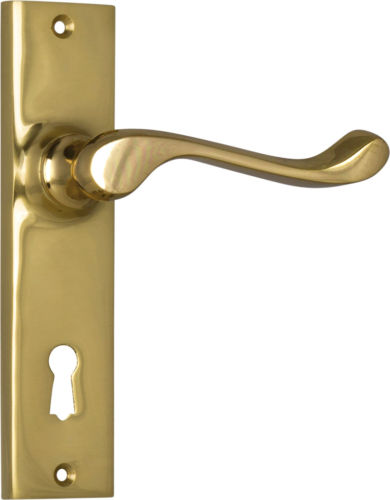 TRADCO FREMANTLE DOOR LEVER HANDLE ON RECTANGULAR BACKPLATE