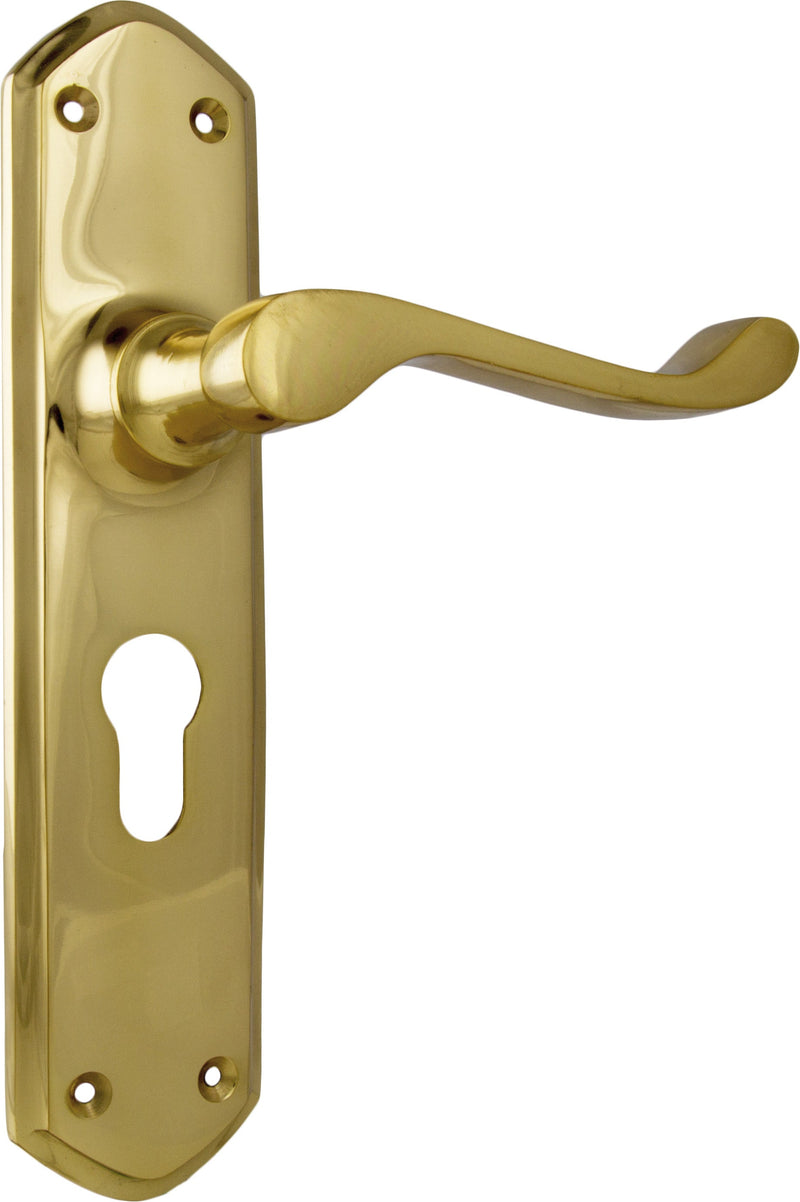 TRADCO WINDSOR LEVER DOOR HANDLE ON SHOULDERED BACKPLATE