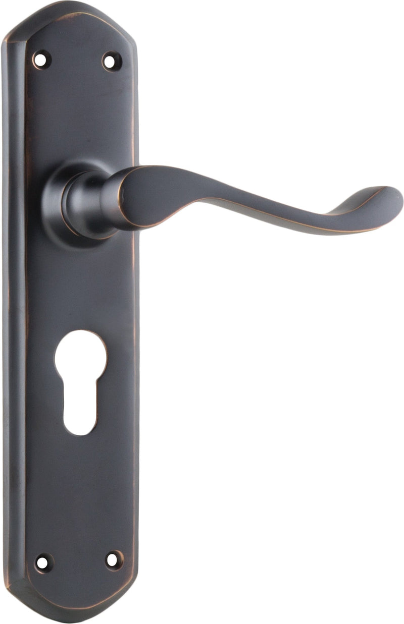 TRADCO WINDSOR LEVER DOOR HANDLE ON SHOULDERED BACKPLATE