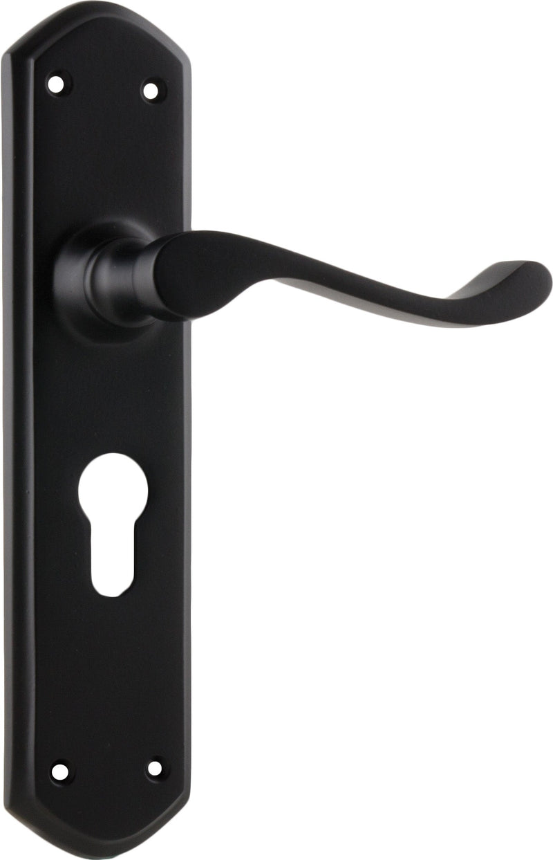 TRADCO WINDSOR LEVER DOOR HANDLE ON SHOULDERED BACKPLATE