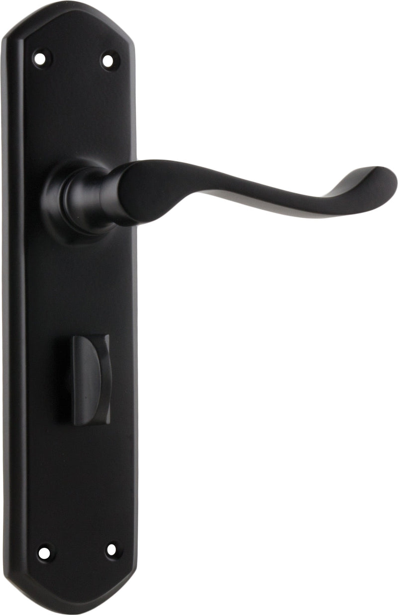 TRADCO WINDSOR LEVER DOOR HANDLE ON SHOULDERED BACKPLATE