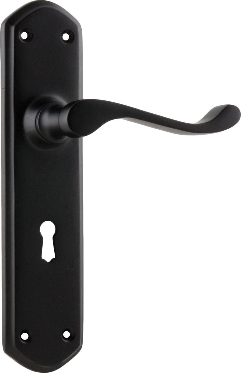 TRADCO WINDSOR LEVER DOOR HANDLE ON SHOULDERED BACKPLATE