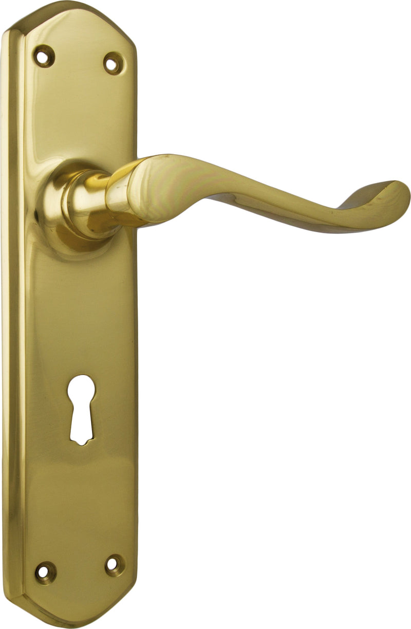 TRADCO WINDSOR LEVER DOOR HANDLE ON SHOULDERED BACKPLATE