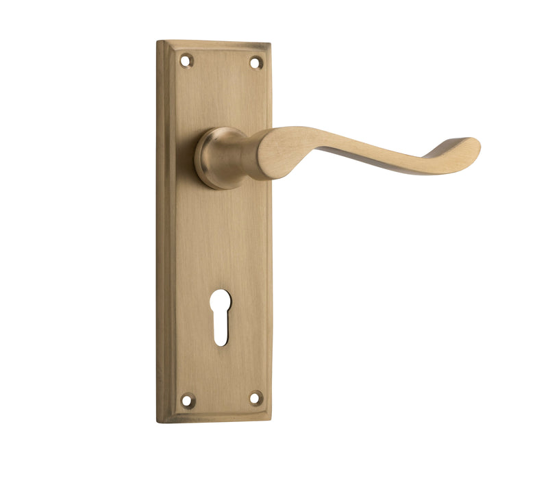 TRADCO CAMDEN DOOR LEVER HANDLE ON RECTANGULAR BACKPLATE