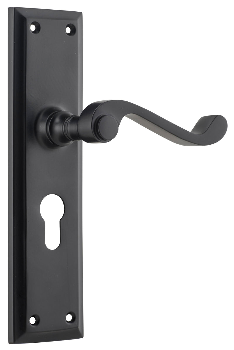 TRADCO MILTON LEVER DOOR HANDLE