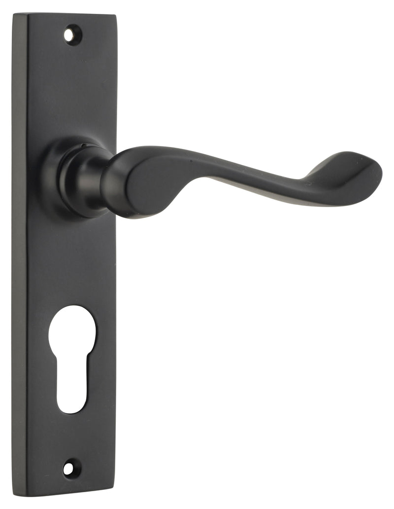 TRADCO FREMANTLE DOOR LEVER HANDLE ON RECTANGULAR BACKPLATE