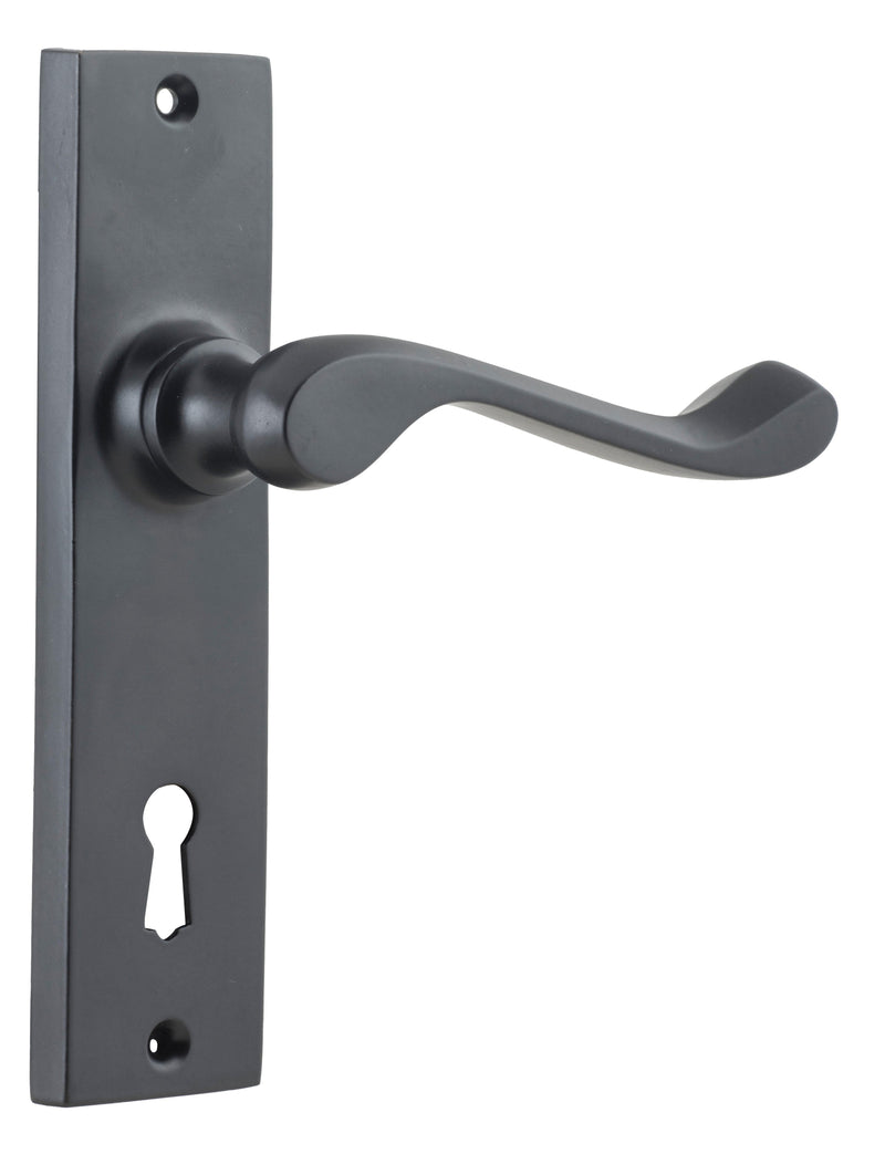 TRADCO FREMANTLE DOOR LEVER HANDLE ON RECTANGULAR BACKPLATE