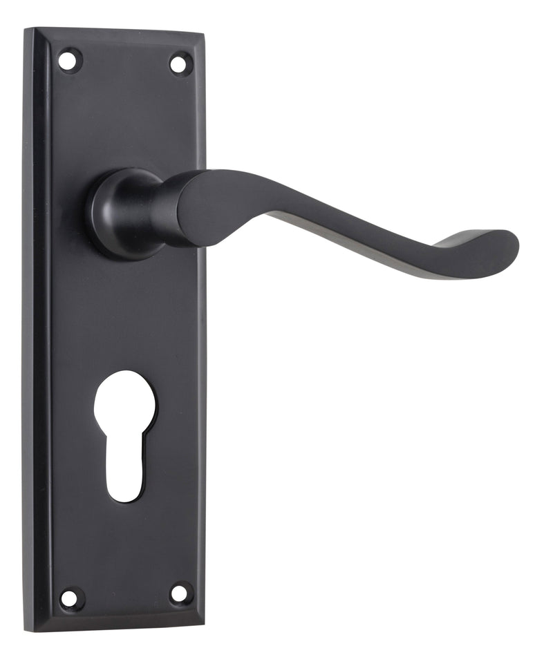 TRADCO CAMDEN DOOR LEVER HANDLE ON RECTANGULAR BACKPLATE