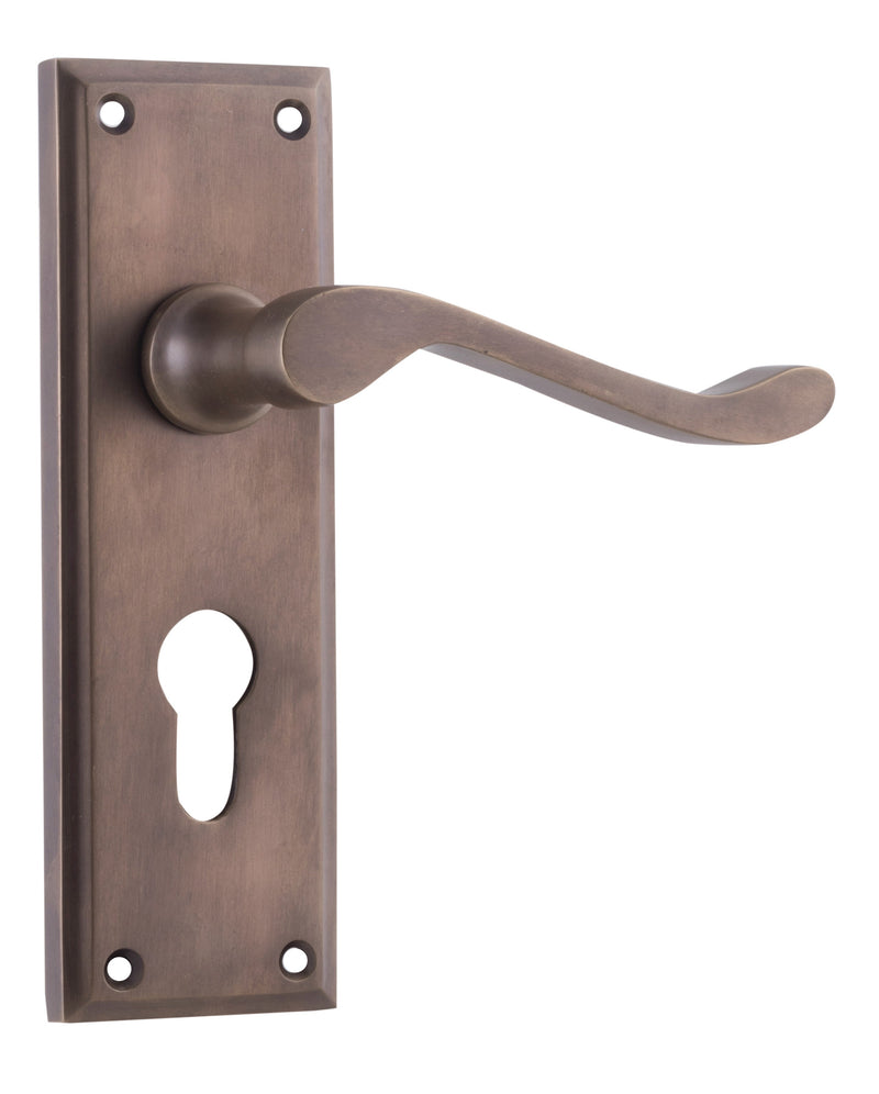 TRADCO CAMDEN DOOR LEVER HANDLE ON RECTANGULAR BACKPLATE