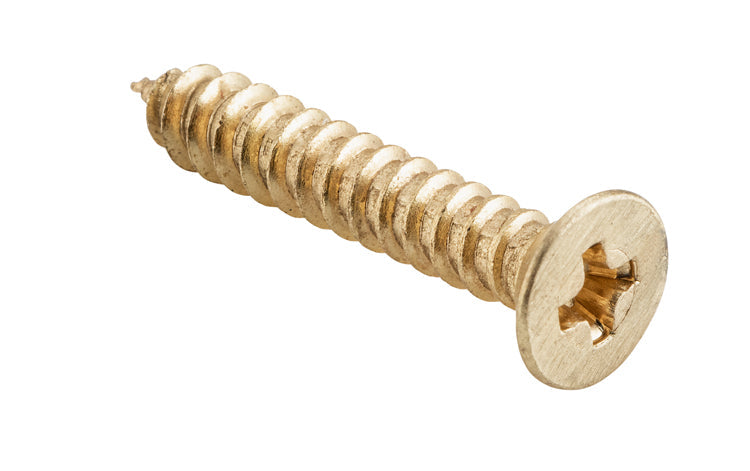 TRADCO HINGE SCREW